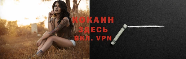apvp Арсеньев