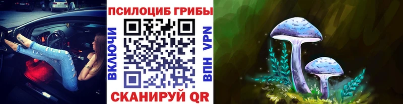 Купить  Сурск  Галлюциногенные грибы прущие грибы 